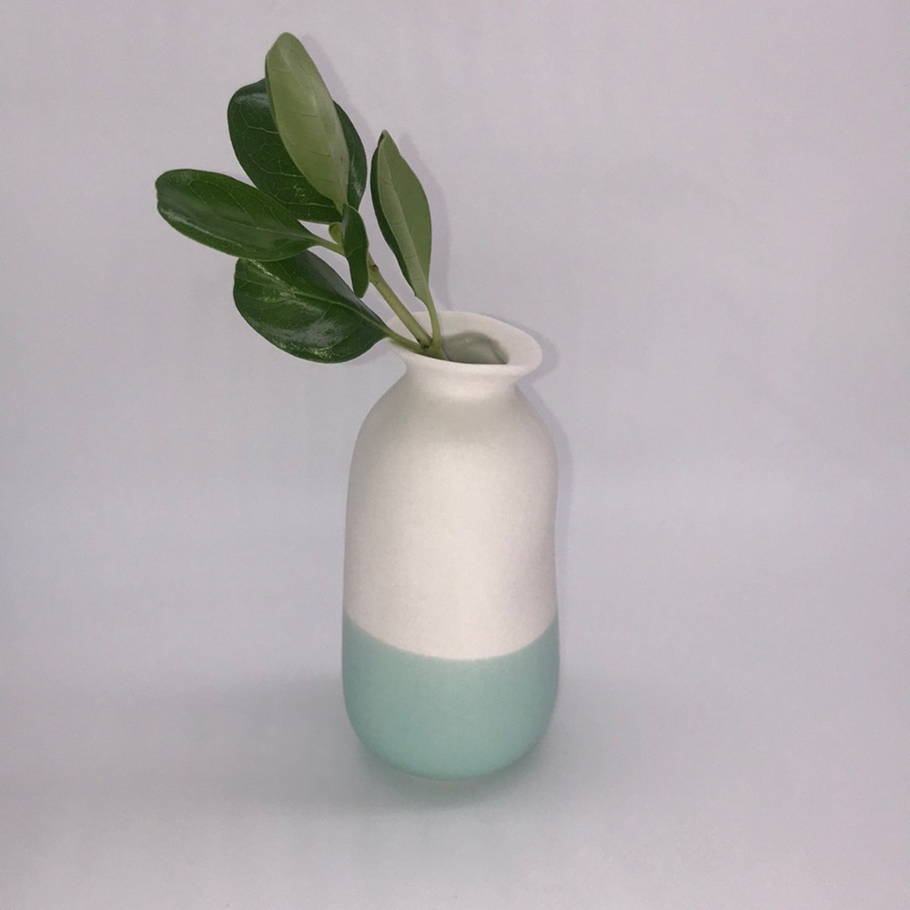 🌿Vase